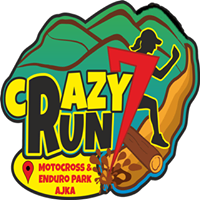 CrazyRun