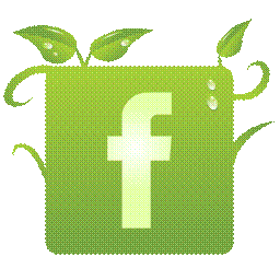 http://1.1.1.2/bmi/www.zoldgomb.hu/upload/programDoc/1511/green_facebook_logo1.png